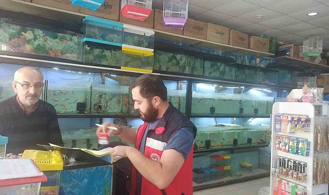 Kütahya'da ev hayvanı satış yerlerinde denetim