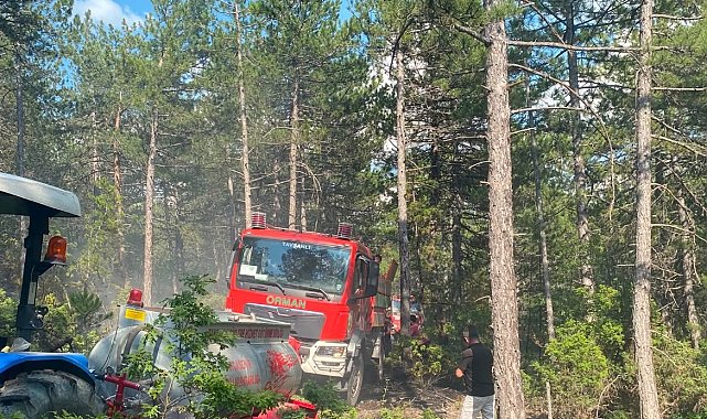 Kütahya'da yıldırım orman yangınına neden oldu