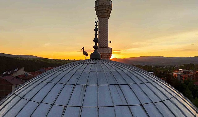 Leylekler gün batımını cami kubbesinde karşıladı, mest eden anlar havadan görüntülendi
