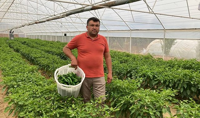 Lezzeti fiyatını unutturuyor