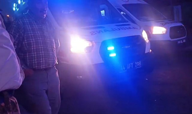 Malatya'da akrabalar arasında "dut ağacı" kavgası: 1'i çocuk 3 yaralı