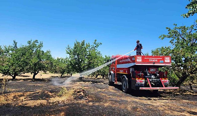 Malatya'da bahçe ve orman yangını