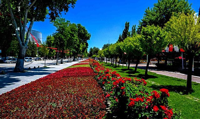 Malatya'da park ve kavşaklar çiçeklerle süslendi