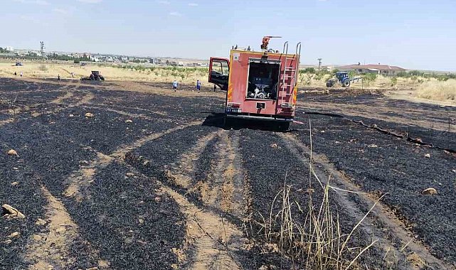 Mardin'de 40 dönüm buğday ekili alan yangında zarar gördü