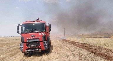 Mardin'de anız yangını söndürüldü