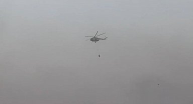 Mardin'de çıkan örtü yangınına havadan ve karadan müdahale ediliyor