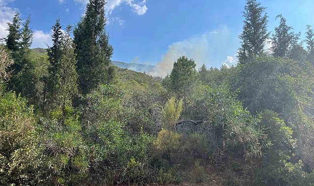 Marmaris'te yıldırım kaynaklı orman yangını