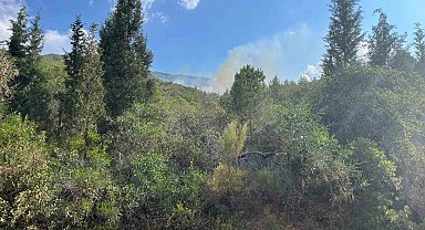 Marmaris'te yıldırım kaynaklı orman yangını