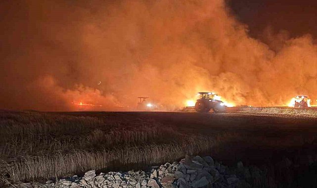 Mazıdağı'nda dün gece çıkan yangında ekili araziler zarar gördü