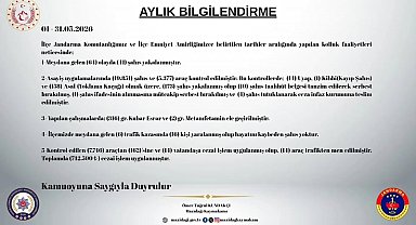 Mazıdağı'nda mayıs ayında 173 şahıs yakalandı