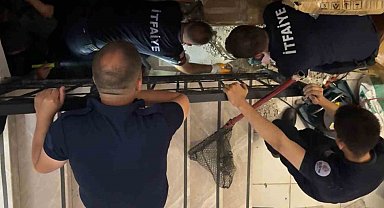 Merdiven boşluğuna sıkışan kedi merdiven ve fayans kırılarak kurtarıldı