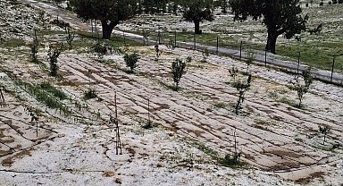 Mersin Erdemli'de dolu tarım alanlarına zarar verdi