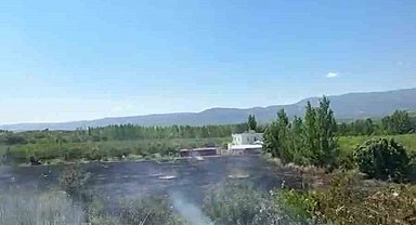 Mersin Mut'ta yangın: 15 dönüm bahçe zarar gördü