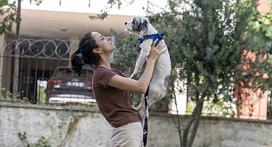 Mersin'de sahiplendirme kampanyasıyla bin 927 köpek yeni yuvasına kavuştu