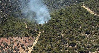 Milas Kazıklı Koyu'nda makilik alanda yangın çıktı