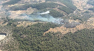Milas'ta çıkan zirai yangın kısa sürede kontrol altına alındı