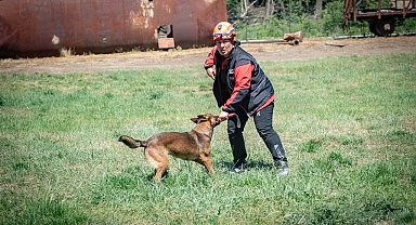 Muğla NAK Arama Kurtarma Köpekleri Macaristan'da sahaya indi
