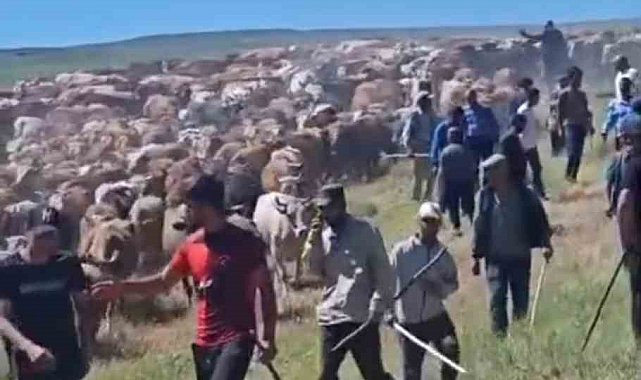 Muş'ta iki köy arasında 'arazi' kavgası: 2 yaralı