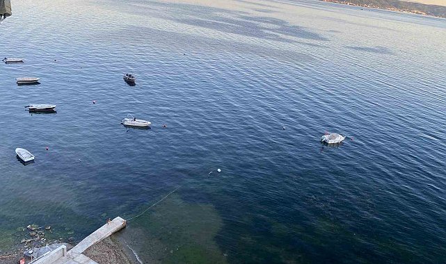 Müsilajın ardından Gemlik Körfezi'nde sevindiren görüntüler