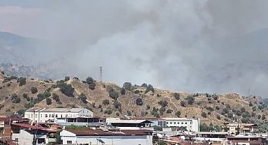Nazilli'de zirai alan yangını