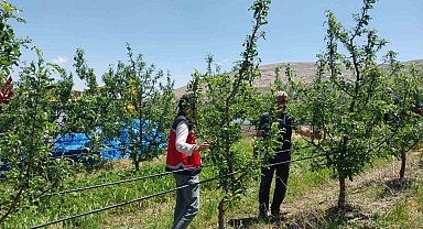 Niğde'de dolu ve sağanak tarım arazilerine zarar verdi
