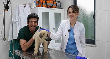 Ödüllü Hayvan Bakım Merkezi can dostlara umut oluyor
