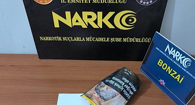 Ordu'da uyuşturucu operasyonlarında 1 tutuklama