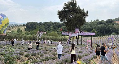 Osmaniye'de mis kokulu lavantalar arasında renkli festival