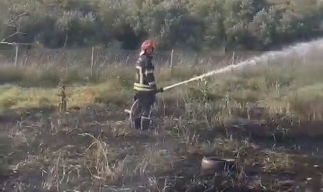 Osmaniye'de tankerin lastiklerinden çıkan yangın zeytin bahçesine sıçradı