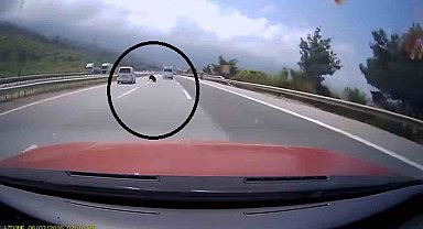 Otobanda yola fırlayan angus korku dolu anlar yaşattı