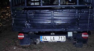 Otomobil ağaca çarptı: 2 yaralı