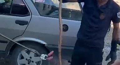 Park halindeki otomobile giren yılan paniğe neden oldu