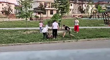 Parkta dolaştırılan köpeğe saldıran başıboş köpek, doktor tarafından etkisiz hale getirildi
