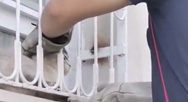 Patisi pencere demirine sıkışan kediyi itfaiye kurtardı