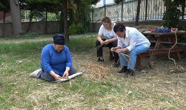 Pirinç sapı, tescilli Bafra zembiline can verdi