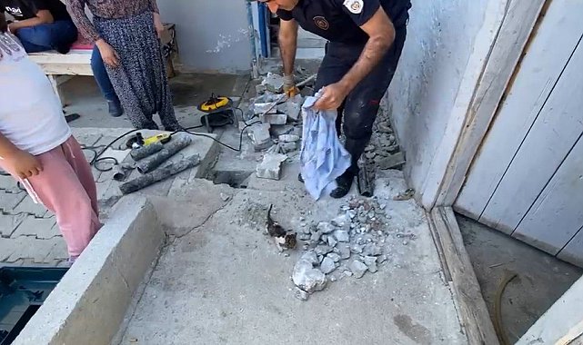 Plastik boruya sıkışan yavru kedi itfaiye ekiplerince kurtarıldı