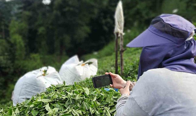 Rize'de çay bahçesinde milli maç heyecanı