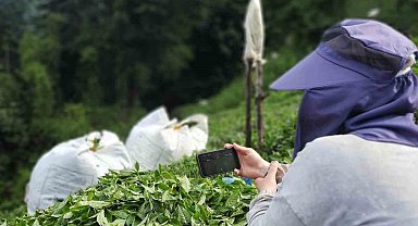 Rize'de çay bahçesinde milli maç heyecanı