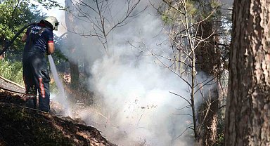 Sakarya'da ağaçlık alanda korkutan yangın