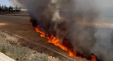 Şanlıurfa'da arpa ekili arazide çıkan yangında 30 dönüm alan zarar gördü