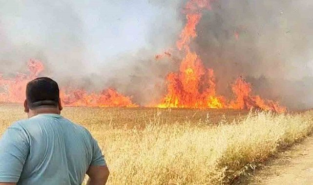 Şanlıurfa'da buğday tarlasında korkutan yangın