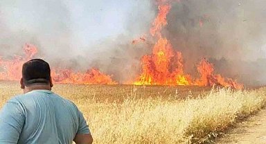 Şanlıurfa'da buğday tarlasında korkutan yangın