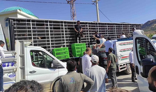 Sason'da 75 besiciye 4 bin 500 adet tavuk dağıtıldı