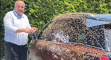 Şehir merkezinde otomobili arılar sardı