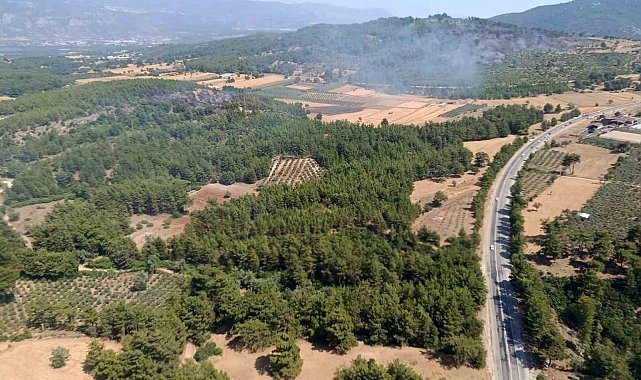 Seydikemer'deki orman yangını kontrol altına alındı