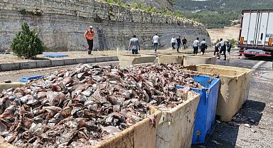 Seyir halindeki tırın dorsesi patladı, 15 ton balık atığı yola saçıldı