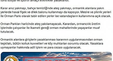 Sıcaklıklar arttı, ormanlara giriş yasaklandı