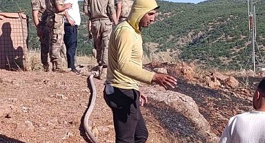 Siirt'te çıkan yangın ekiplerin müdahalesiyle söndürüldü