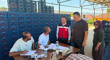 Simav İlçe Tarım ve Orman Müdürlüğünden kiraz alım merkezlerine ziyaret