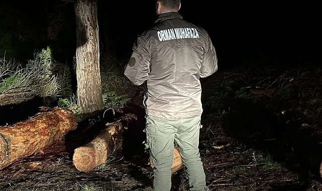 Sinop ormanları gece-gündüz koruma altında